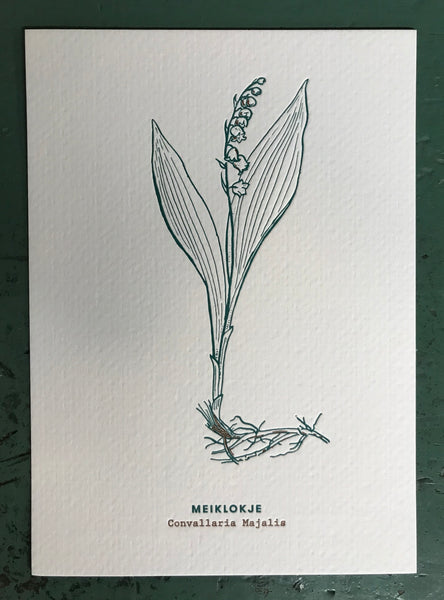 Verzamel ze allemaal! Postkaarten – Blommmekes