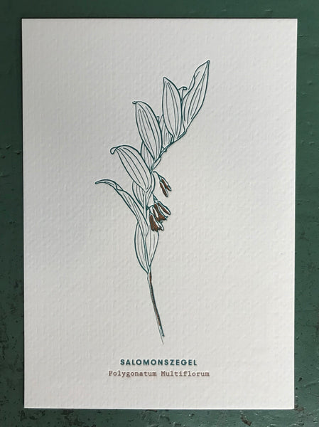 Verzamel ze allemaal! Postkaarten – Blommmekes
