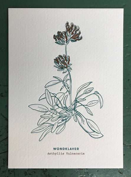 Postkaarten – Blommmekes