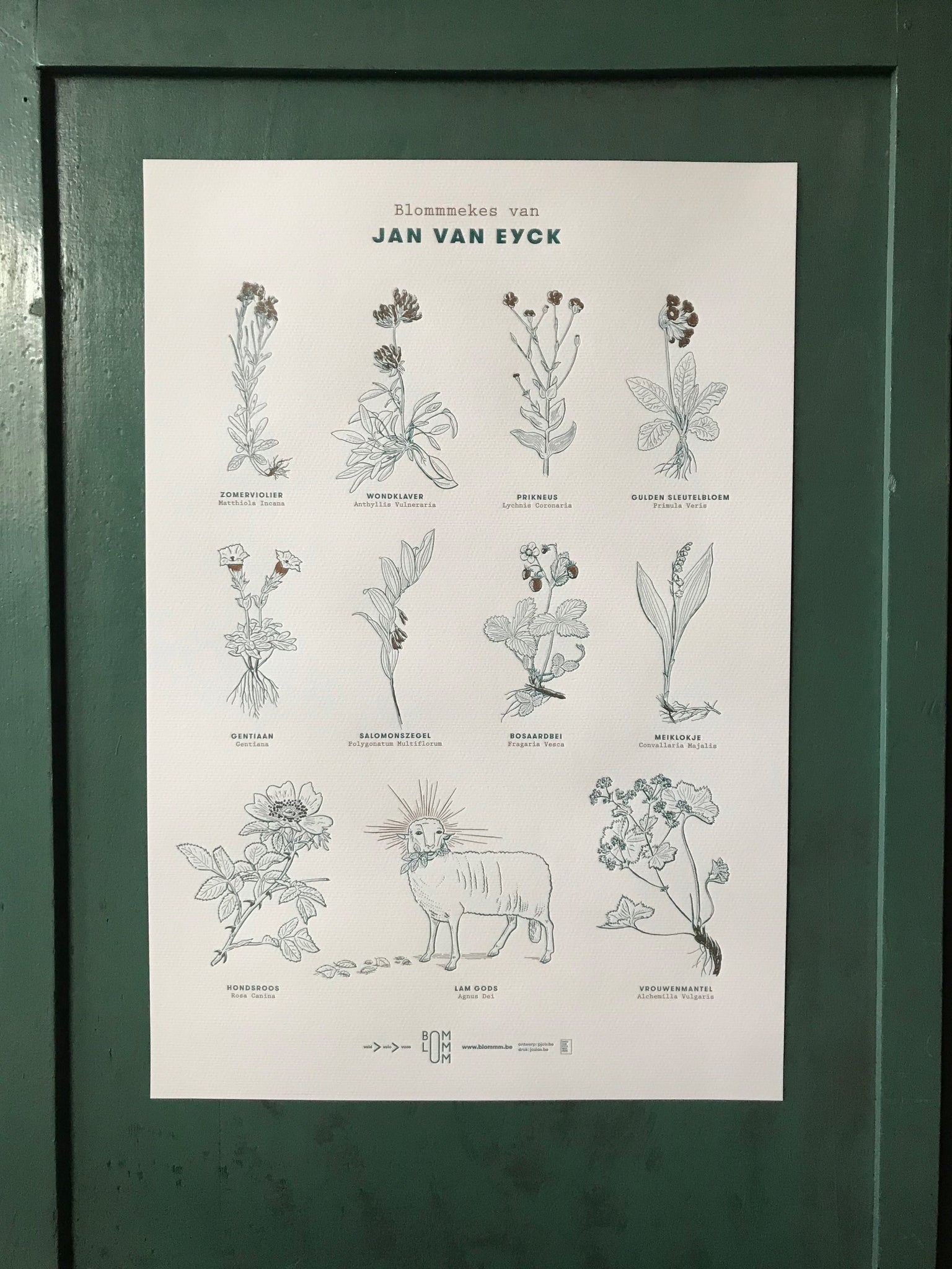 Poster Blommmekes met kader